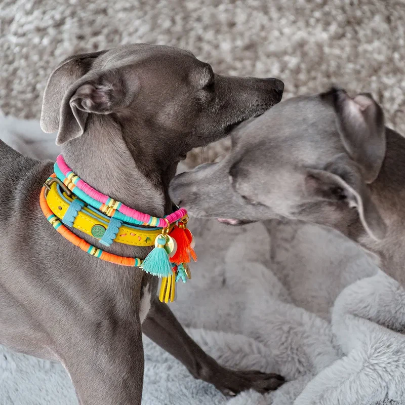 Bohemian Hundekette - "ibiza jewel ORANGE"