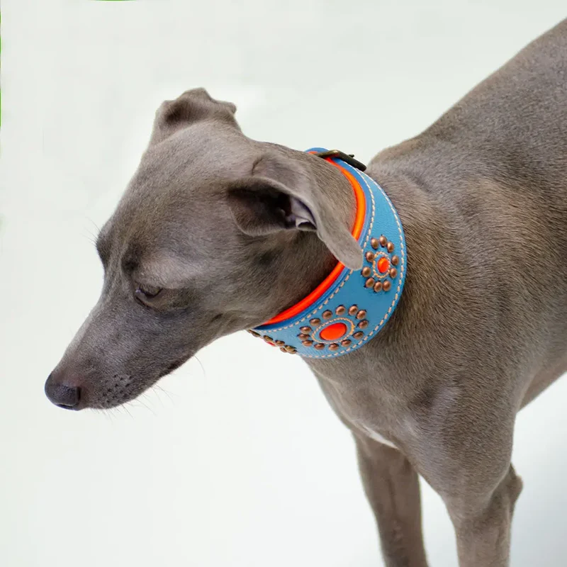Hundehalsband für Windhunde - "Longnose Blue Sky"
