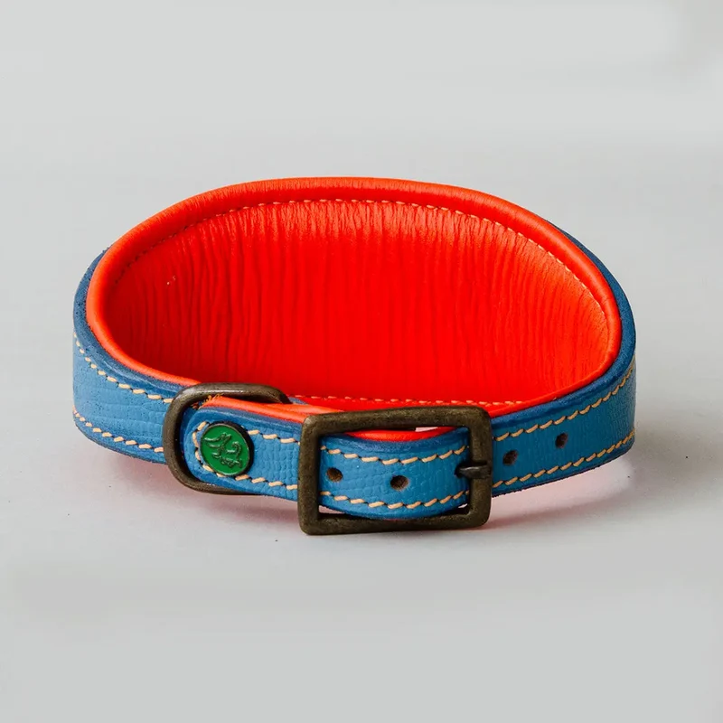 Hundehalsband für Windhunde - "Longnose Blue Sky"