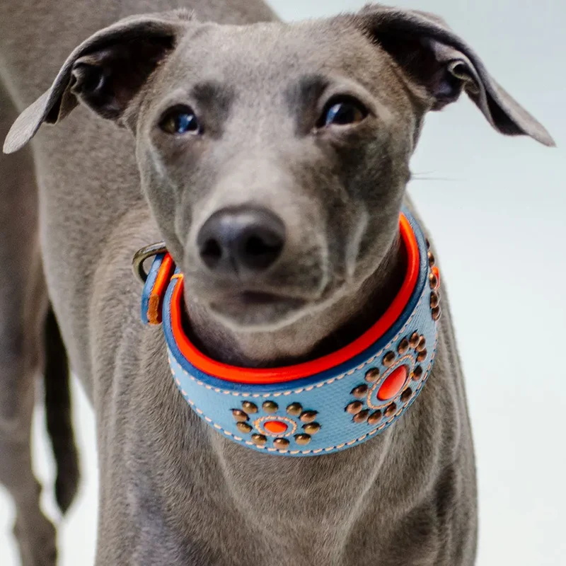 Hundehalsband für Windhunde - "Longnose Blue Sky"