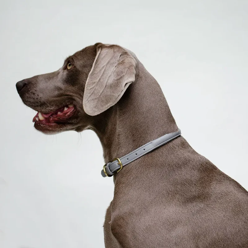 Hundehalsband aus Leder "simply chic" - grau