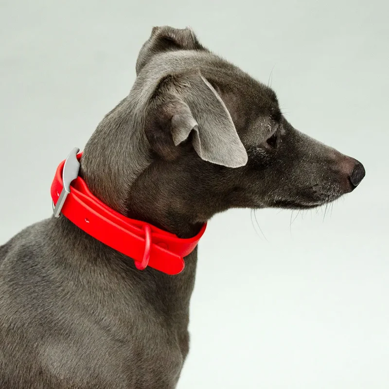 Wasserfestes Hundehalsband - "Soft & Safe"
