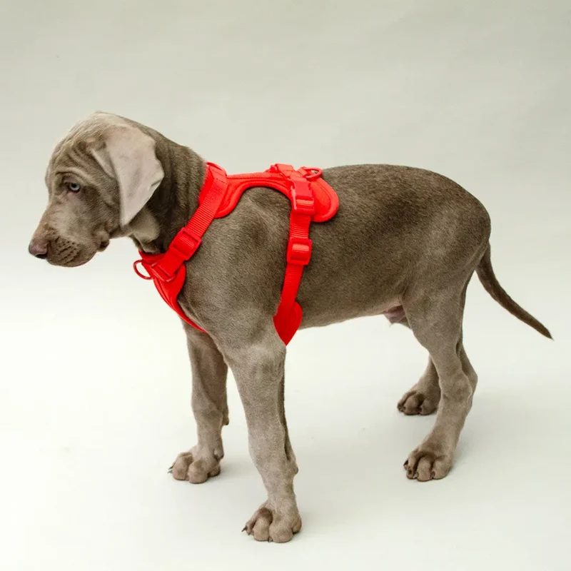 Hundegeschirr - "Soft & Safe" red