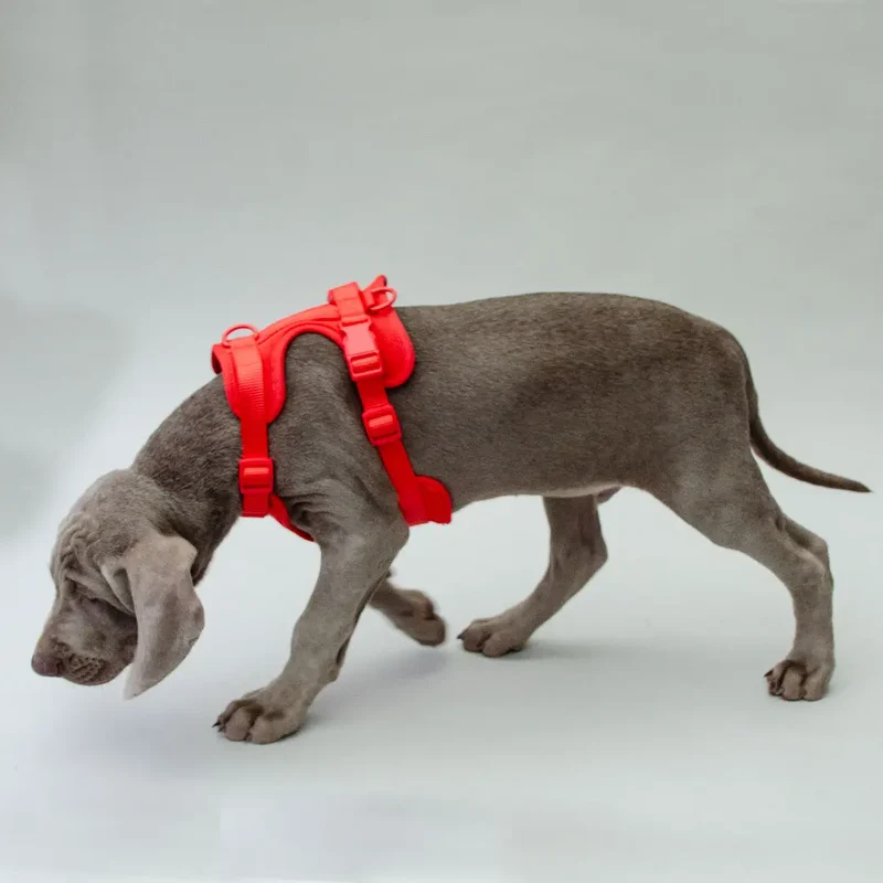 Hundegeschirr - "Soft & Safe" red