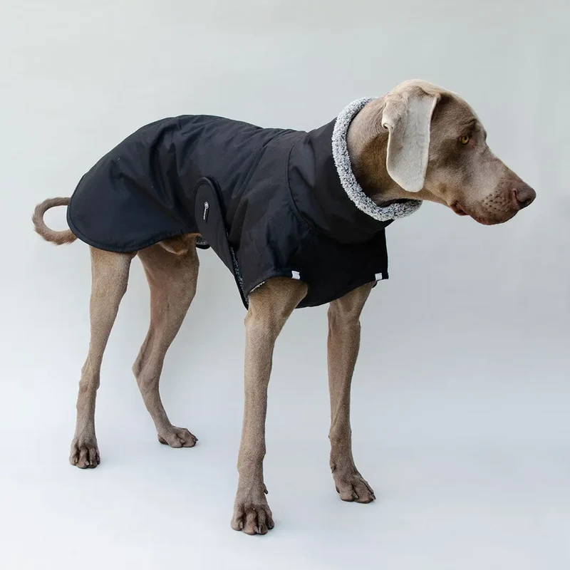 Warmer Hundemantel "HUGO"- SDW