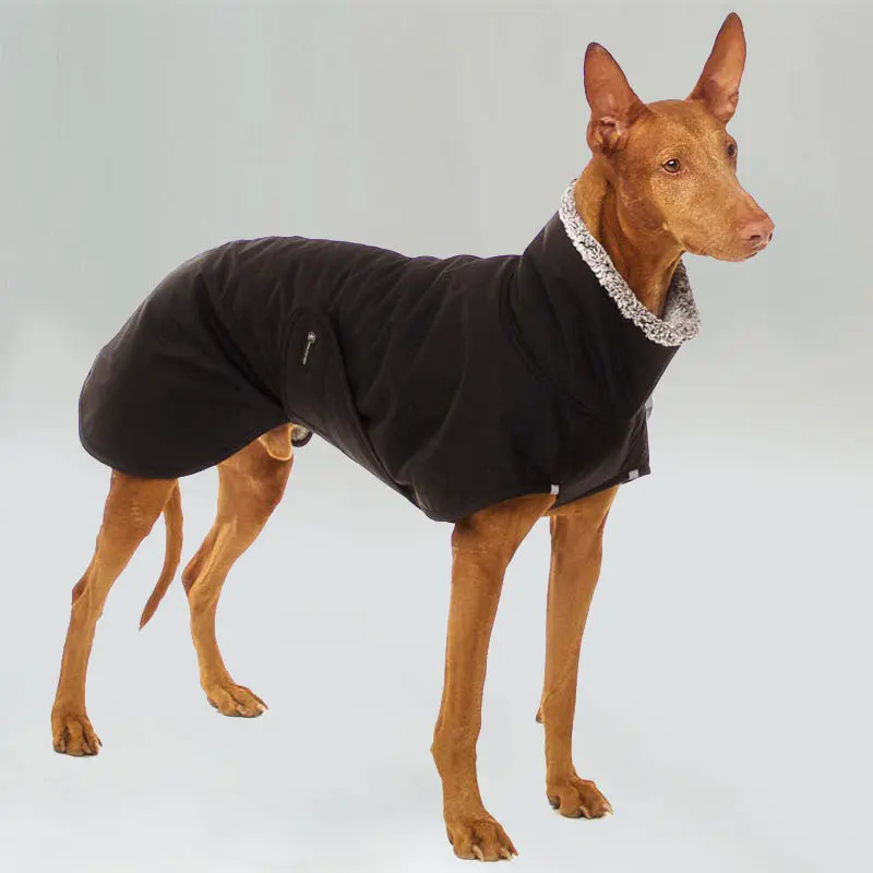 Warmer Hundemantel "HUGO"- SDW