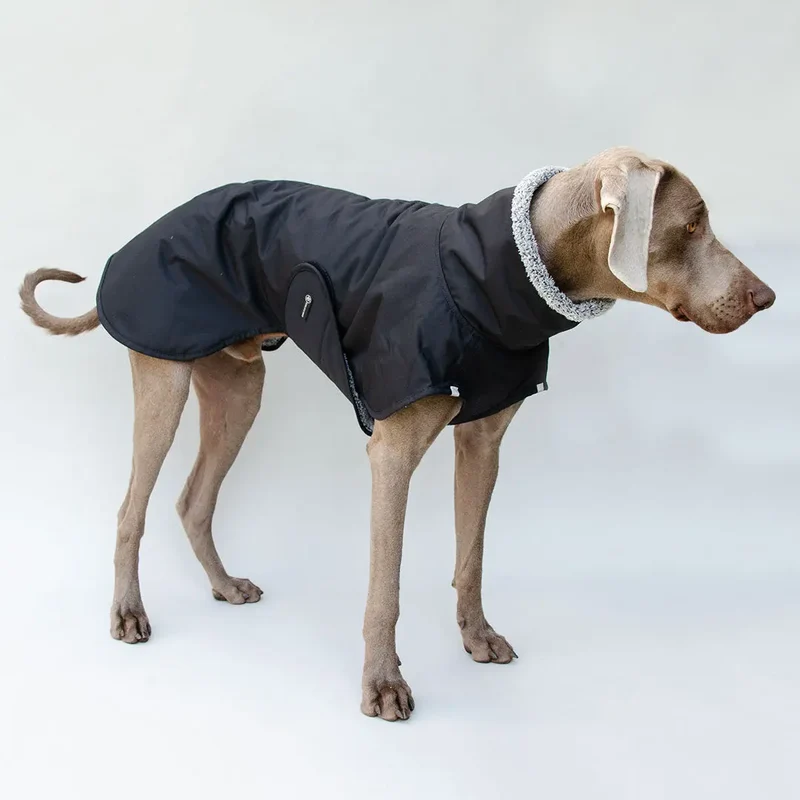Warmer Hundemantel "HUGO"- SDW