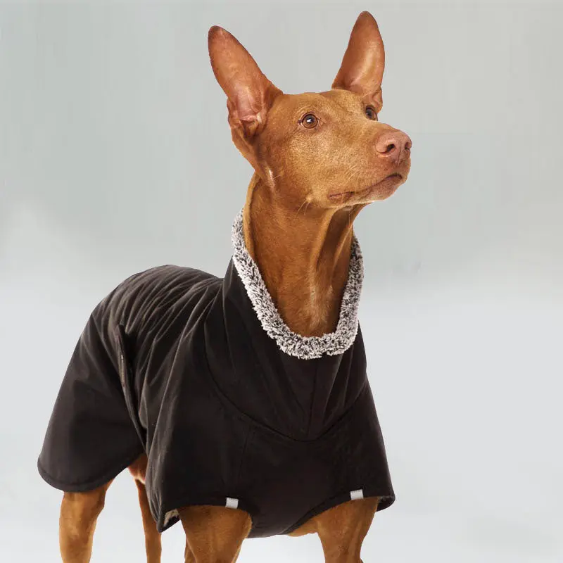 Warmer Hundemantel "HUGO"- SDW