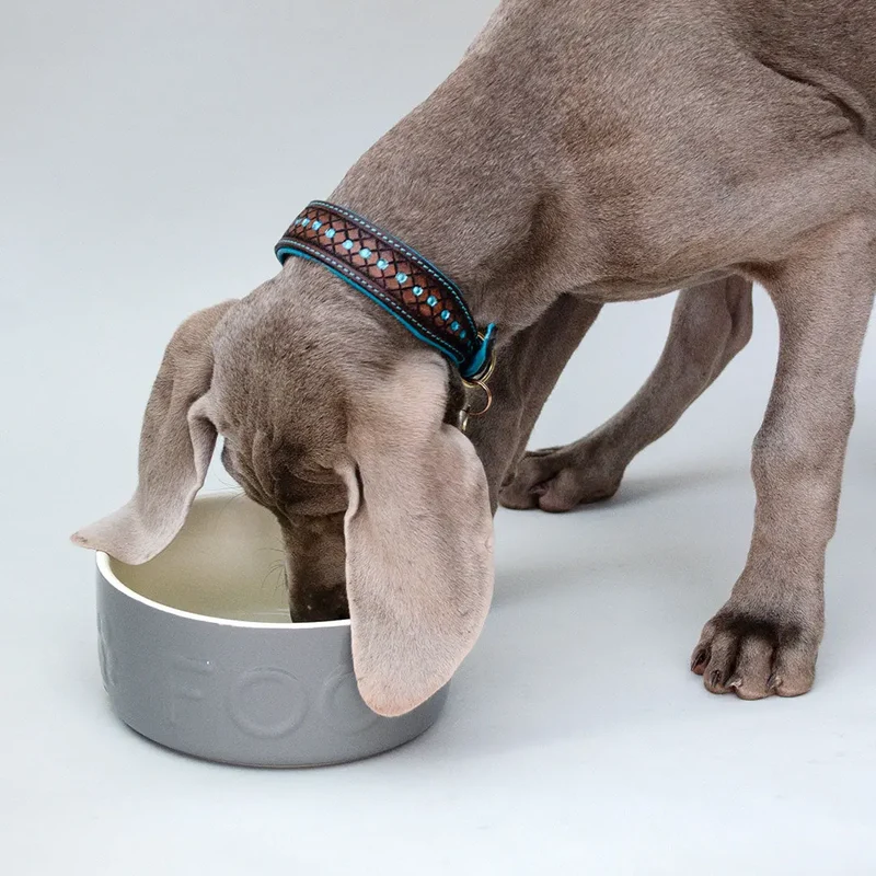 "Food" Bowl - Futternapf für Hunde