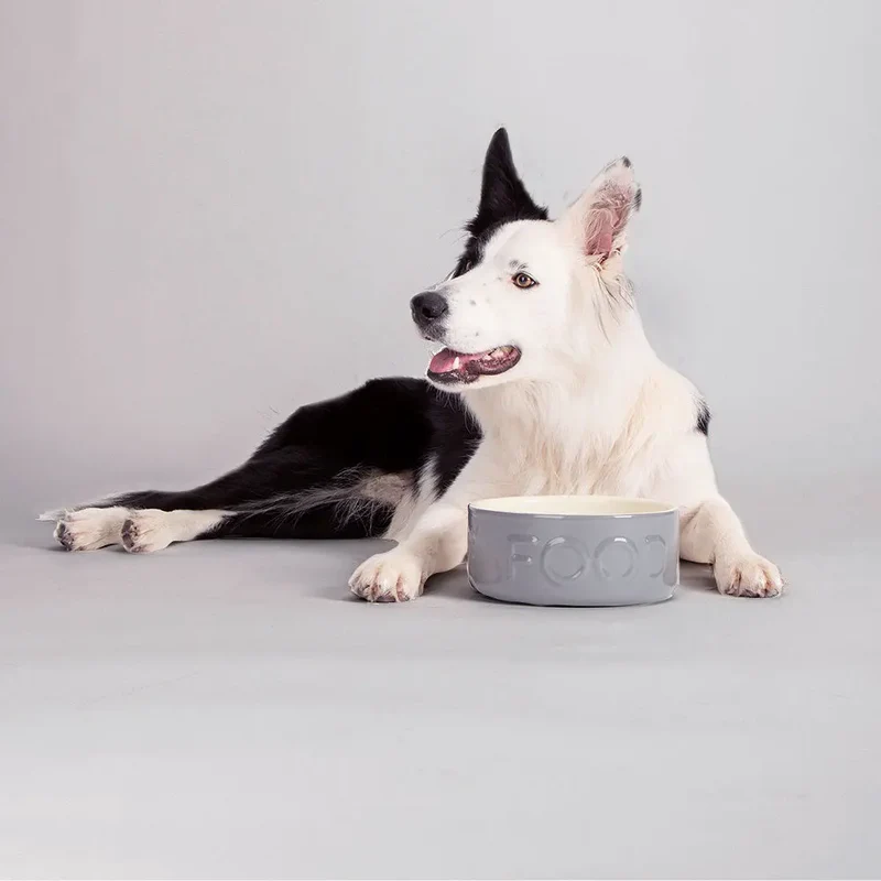 "Food" Bowl - Futternapf für Hunde
