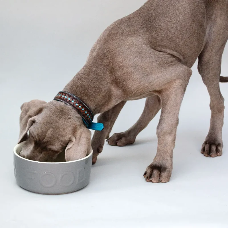 "Food" Bowl - Futternapf für Hunde