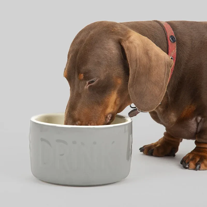 "Drink" Bowl - Trinknapf für Hunde