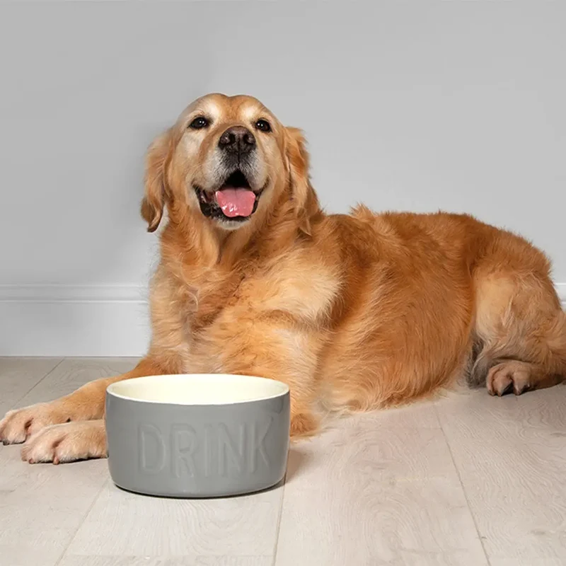 "Drink" Bowl - Trinknapf für Hunde