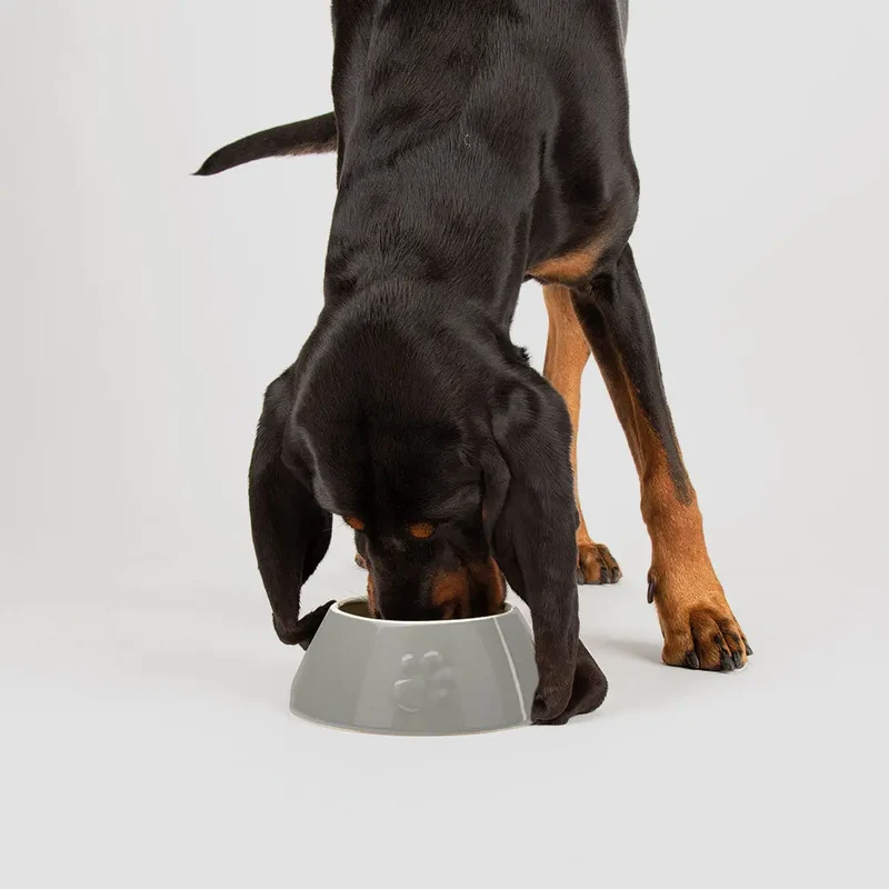 "Long Ear" Bowl - Napf für lange Ohren