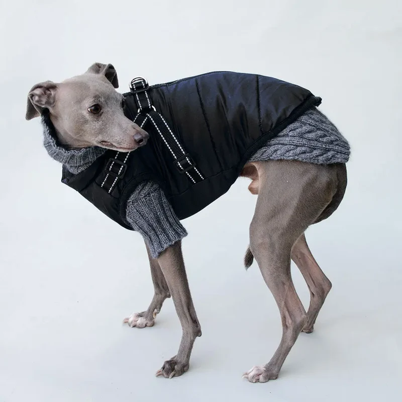 Sportswear Jacke für Hunde - schwarz