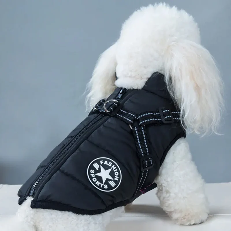 Sportswear Jacke für Hunde - schwarz
