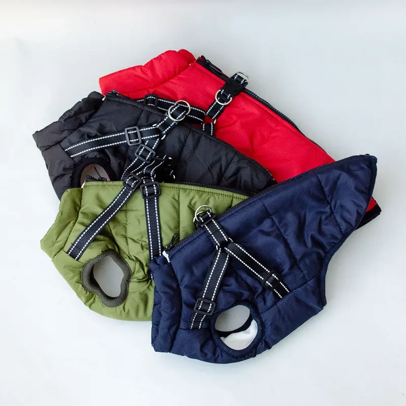 Sportswear Jacke für Hunde - schwarz