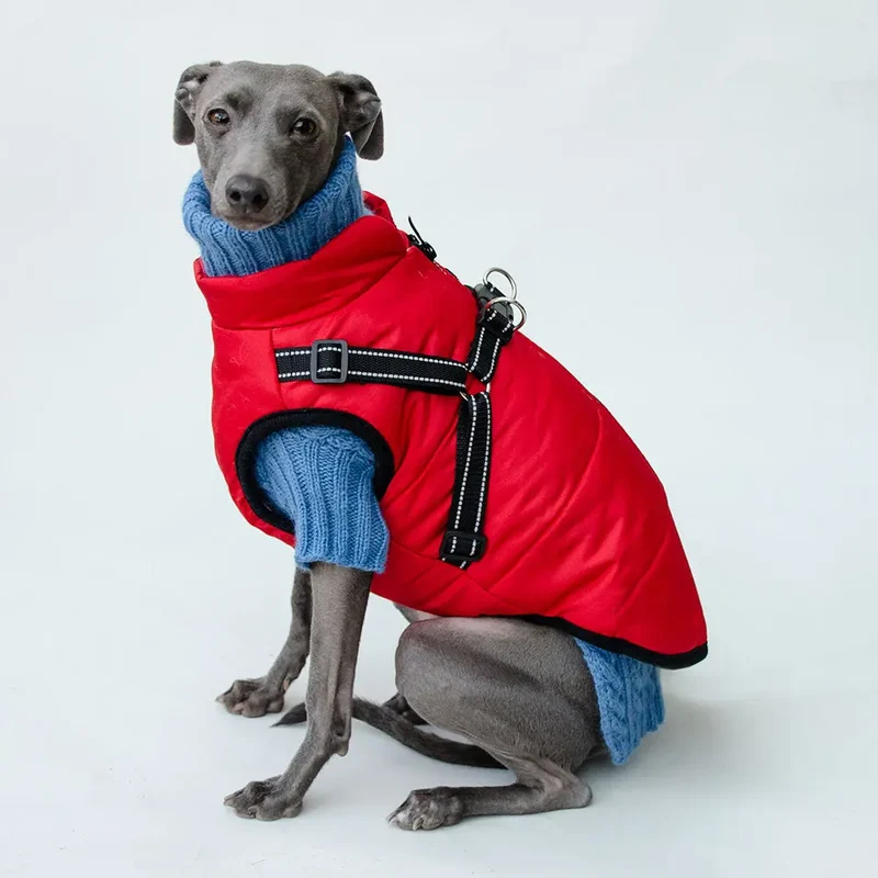 Sportswear Jacke für Hunde - rot