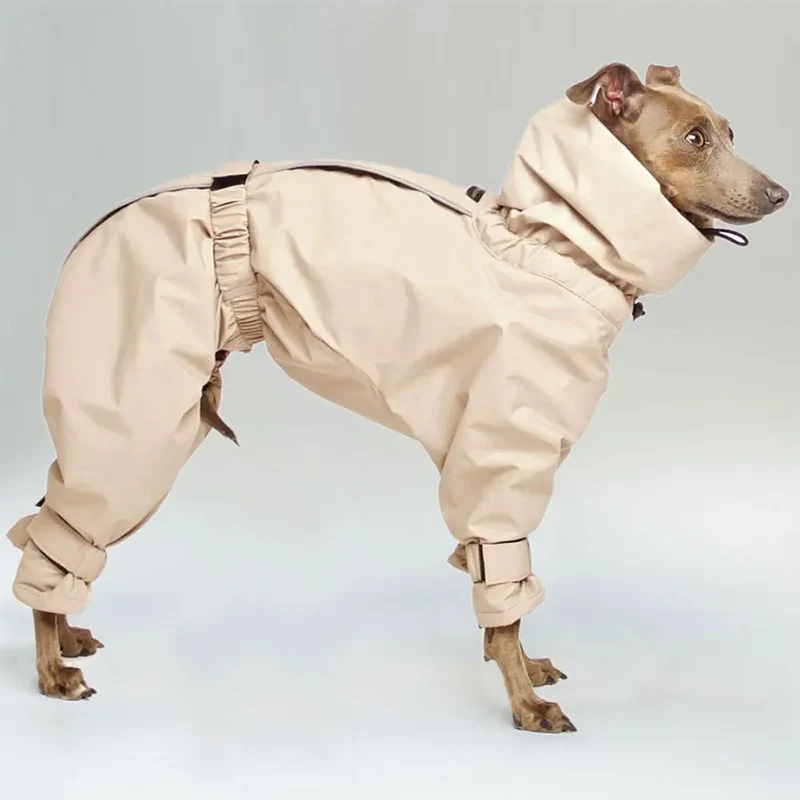 Kelly IG Snow - winter Hundeoverall - beige - SDW