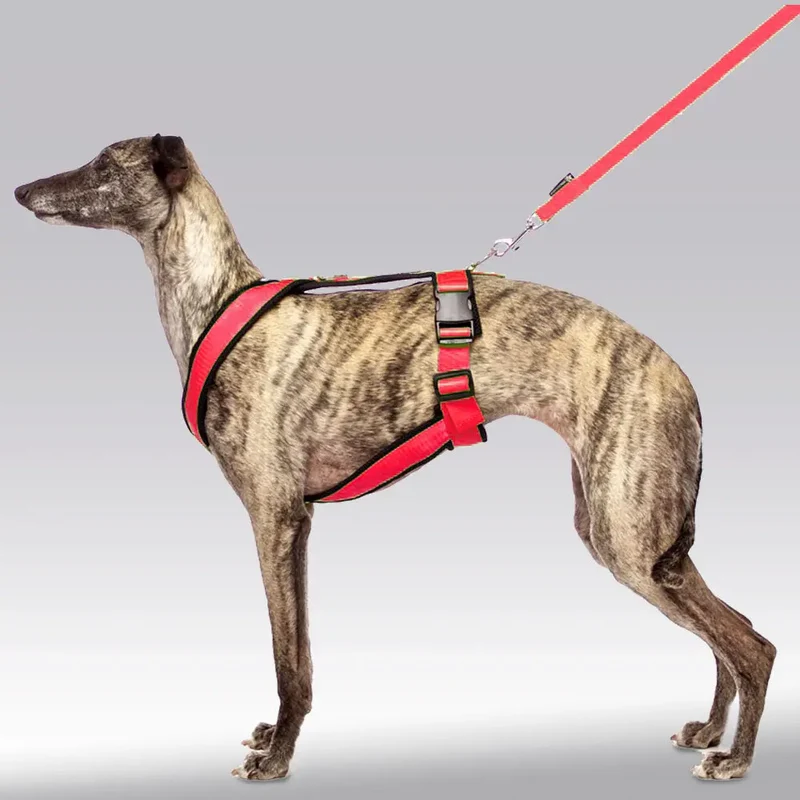 Sofa Dog Wear Sportgeschirr "Big" - red
