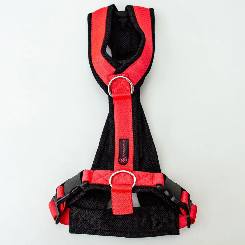 Sofa Dog Wear Sportgeschirr "Big" - red