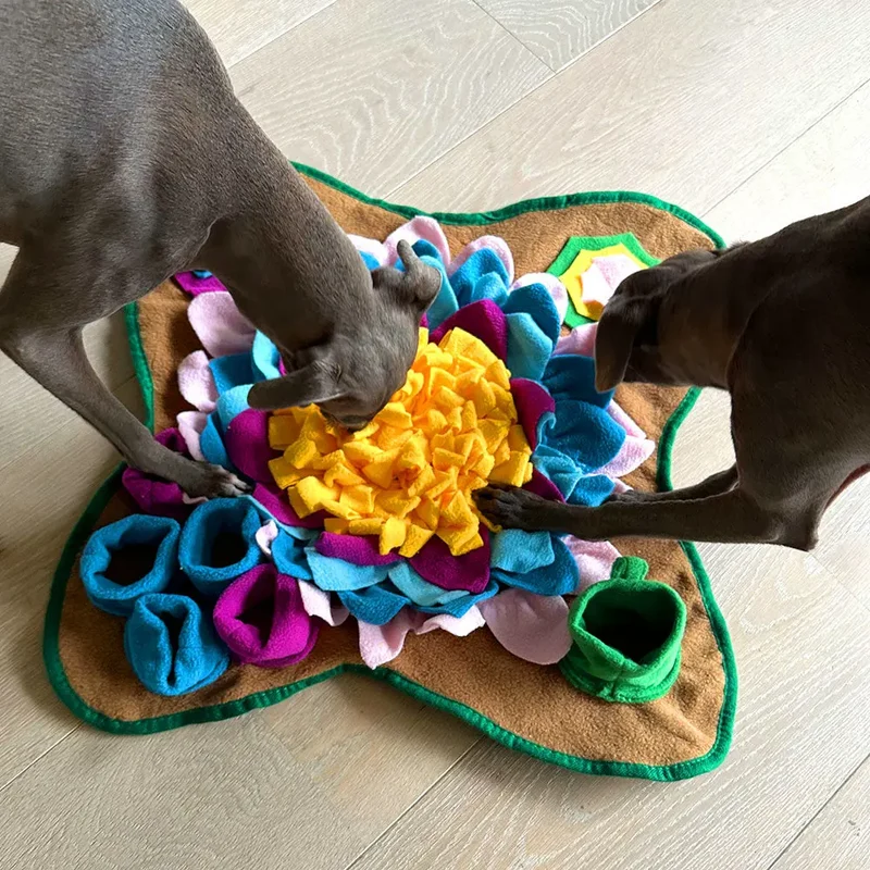 Schnüffelmatte für Hunde "Sniff"