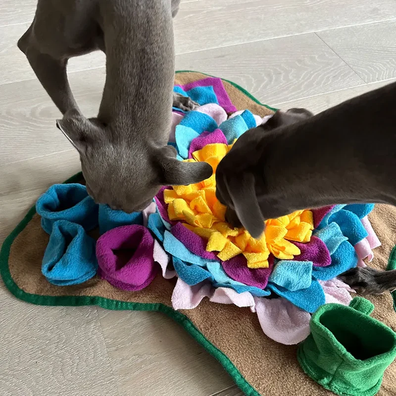 Schnüffelmatte für Hunde "Sniff"