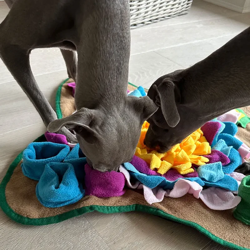 Schnüffelmatte für Hunde "Sniff"