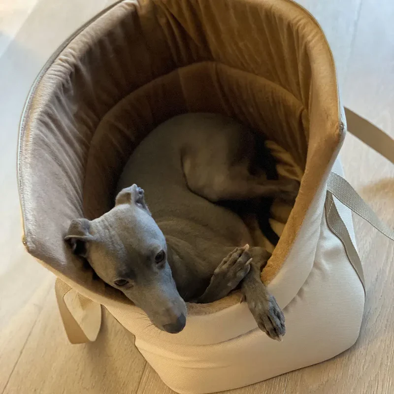 Die Hundetasche "lunch & dinner relax limited"