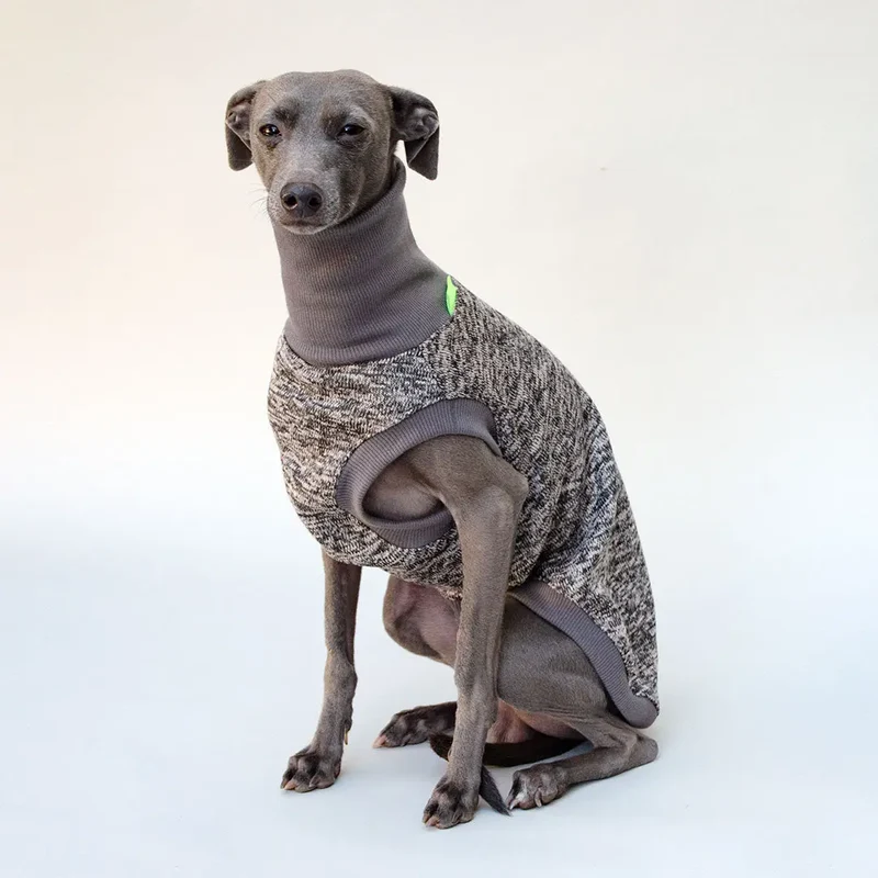 Hunde-Shirt "Super Dry" - mocca