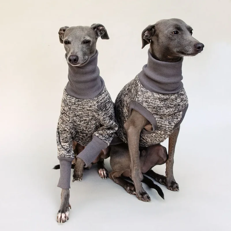 Hunde-Shirt "Super Dry" - mocca