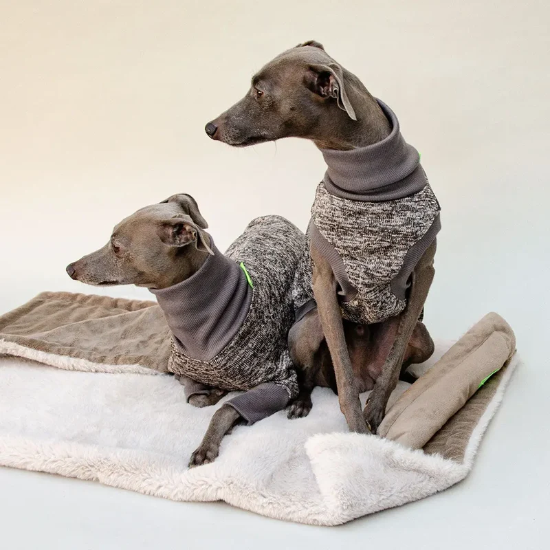 Hunde-Shirt "Super Dry" - mocca