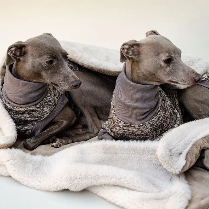 Hunde-Shirt "Super Dry" - mocca