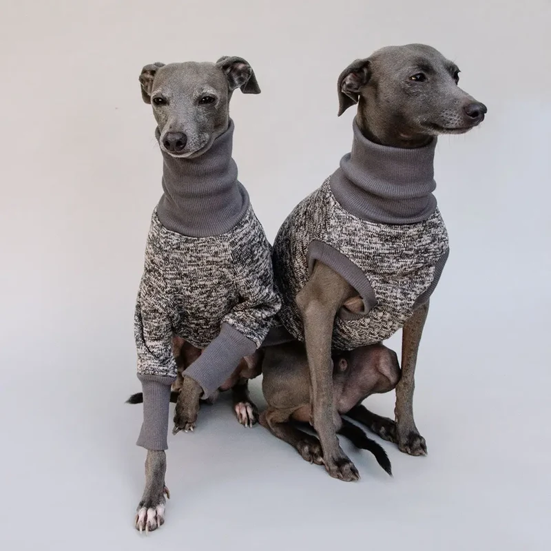 Hunde-Shirt "Super Dry" - mocca