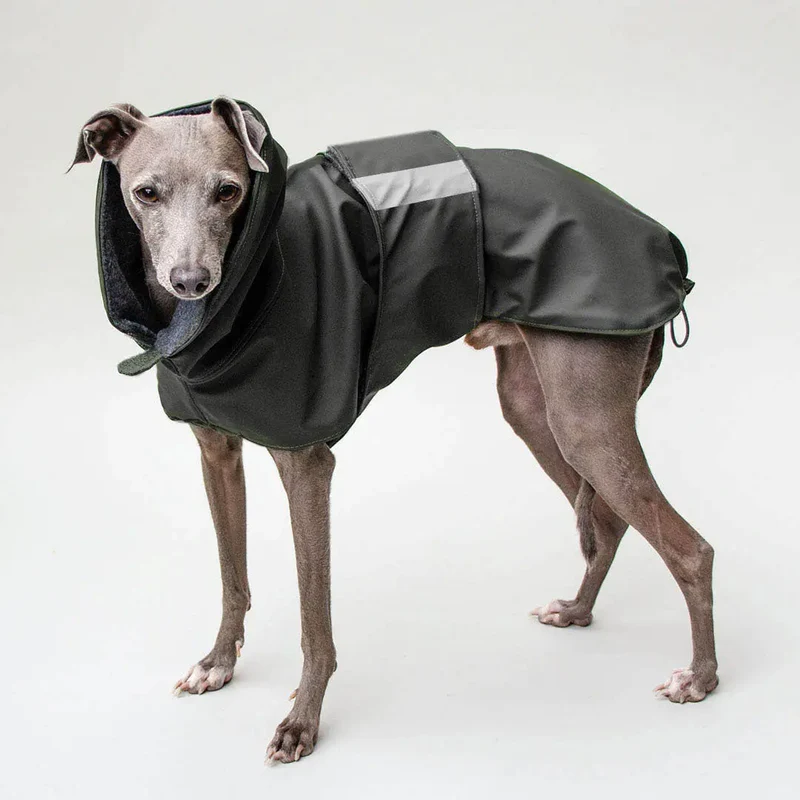 Warmer Hunde-Regenmantel "Safe From Rain" anthrazit