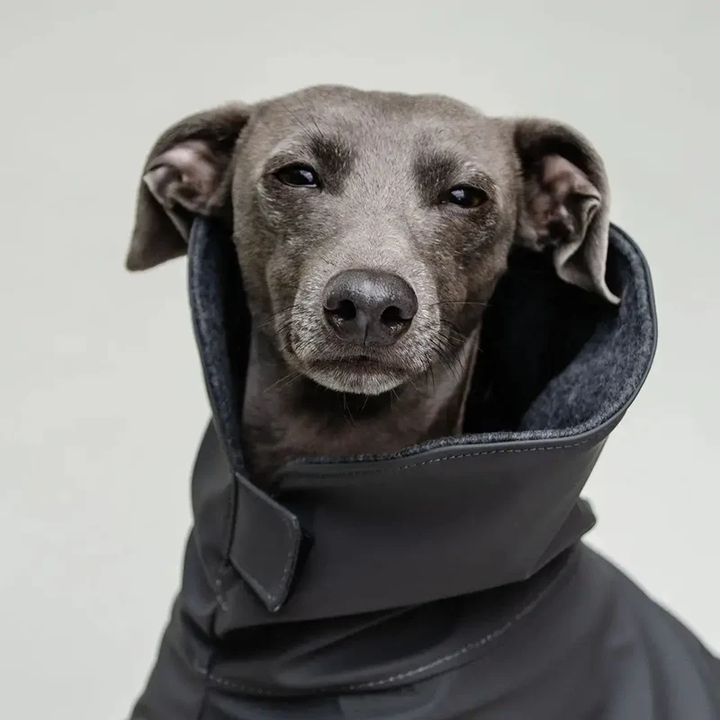 Warmer Hunde-Regenmantel "Safe From Rain" anthrazit