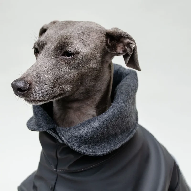Warmer Hunde-Regenmantel "Safe From Rain" anthrazit