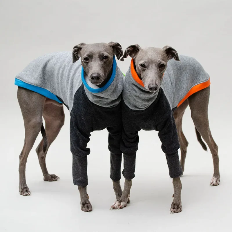 Kuscheliger Hunde-Sweater Bicolor "Baseball"