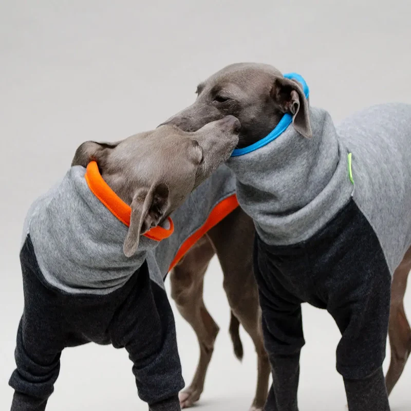 Kuscheliger Hunde-Sweater Bicolor "Baseball"