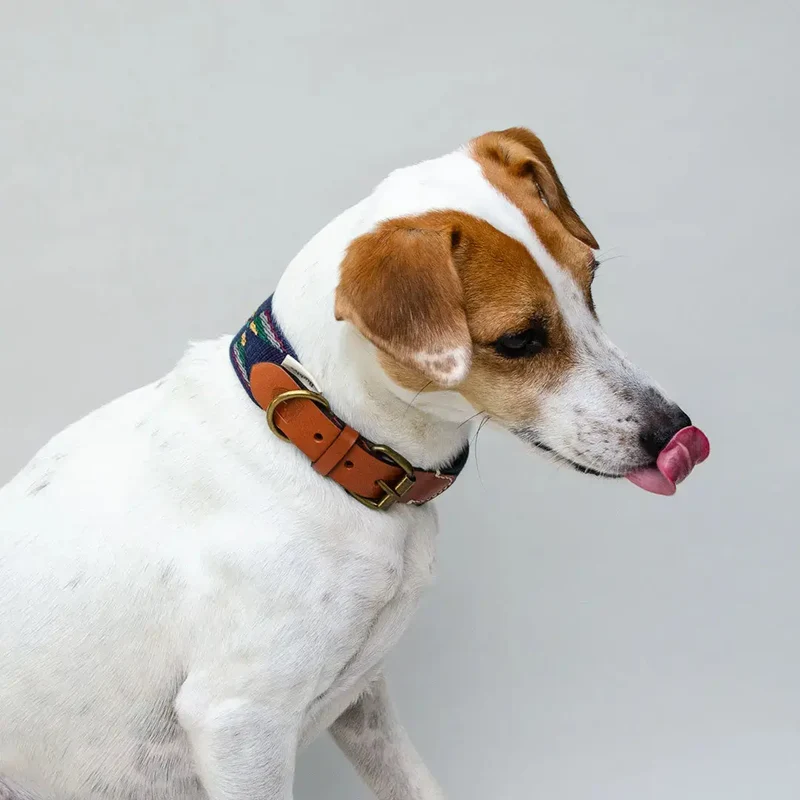 Bohemian Hundehalsband - "Blue Tribal Collar" - Buddys