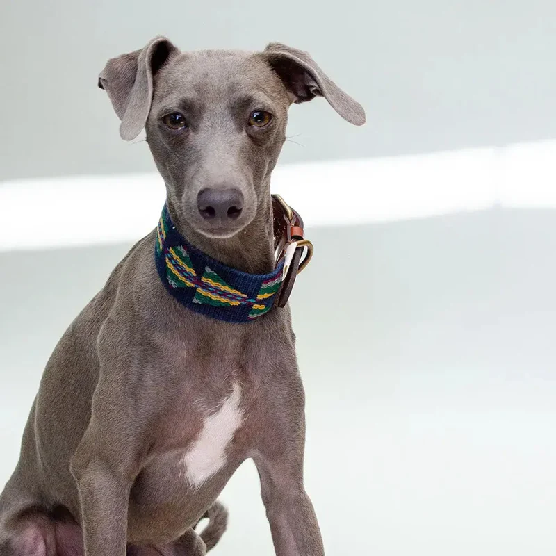 Bohemian Hundehalsband - "Blue Tribal Collar" - Buddys