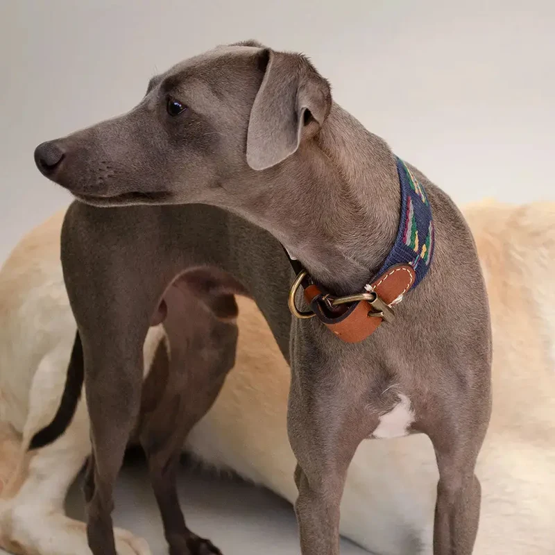 Bohemian Hundehalsband - "Blue Tribal Collar" - Buddys