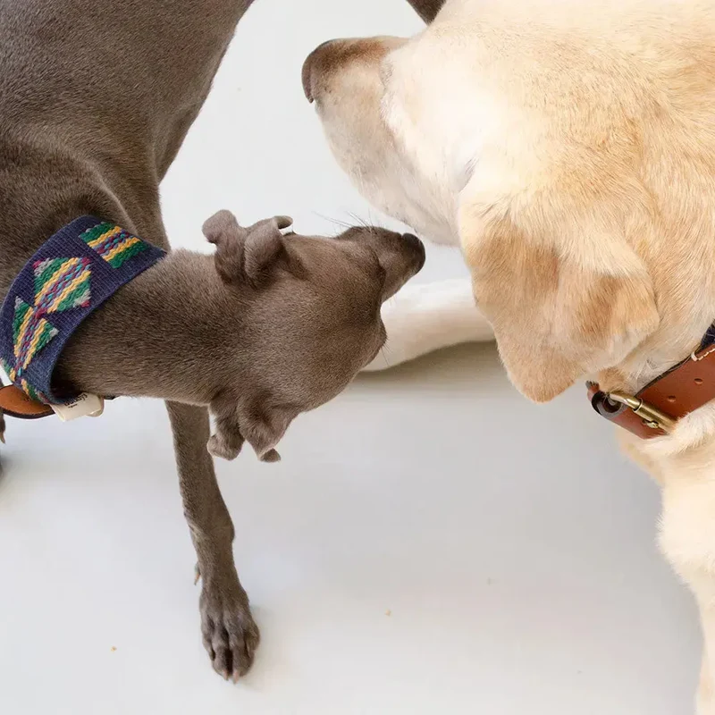 Bohemian Hundehalsband - "Blue Tribal Collar" - Buddys