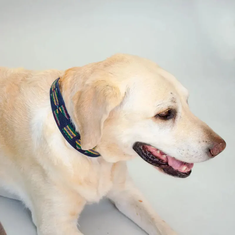 Bohemian Hundehalsband - "Blue Tribal Collar" - Buddys