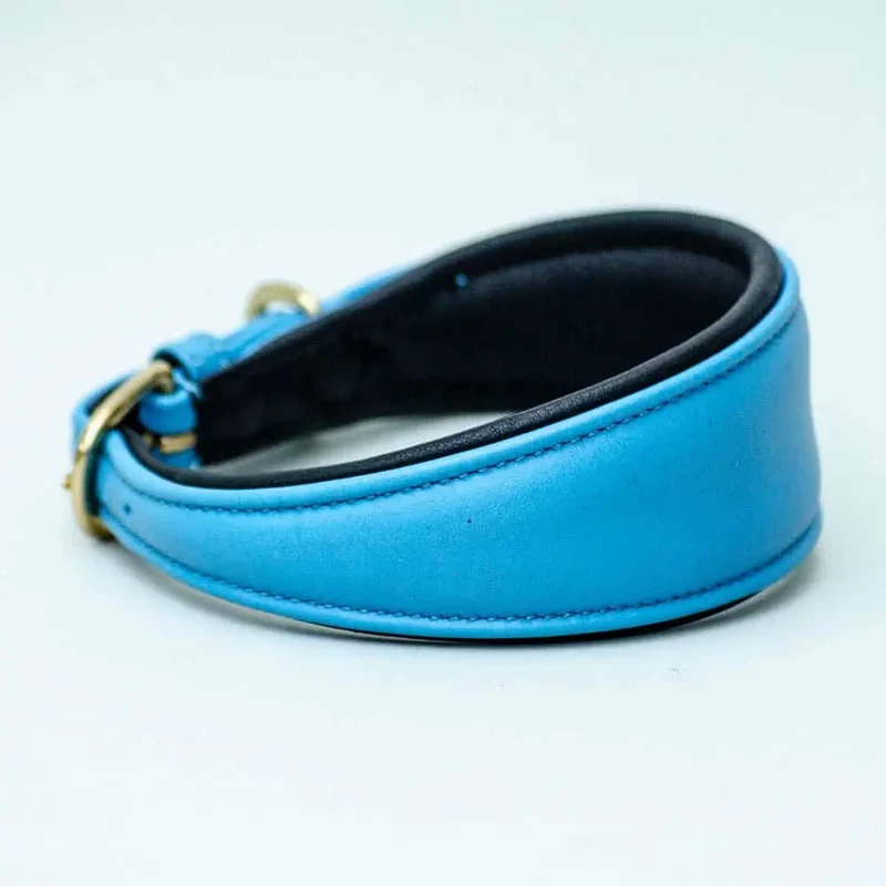 Windhund Lederhalsband - "Greyhound blue"