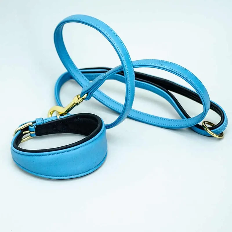 Windhund Lederhalsband - "Greyhound blue"