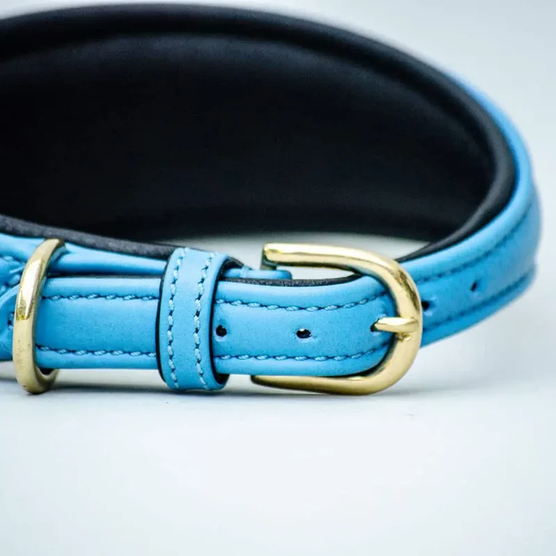 Windhund Lederhalsband - "Greyhound blue"