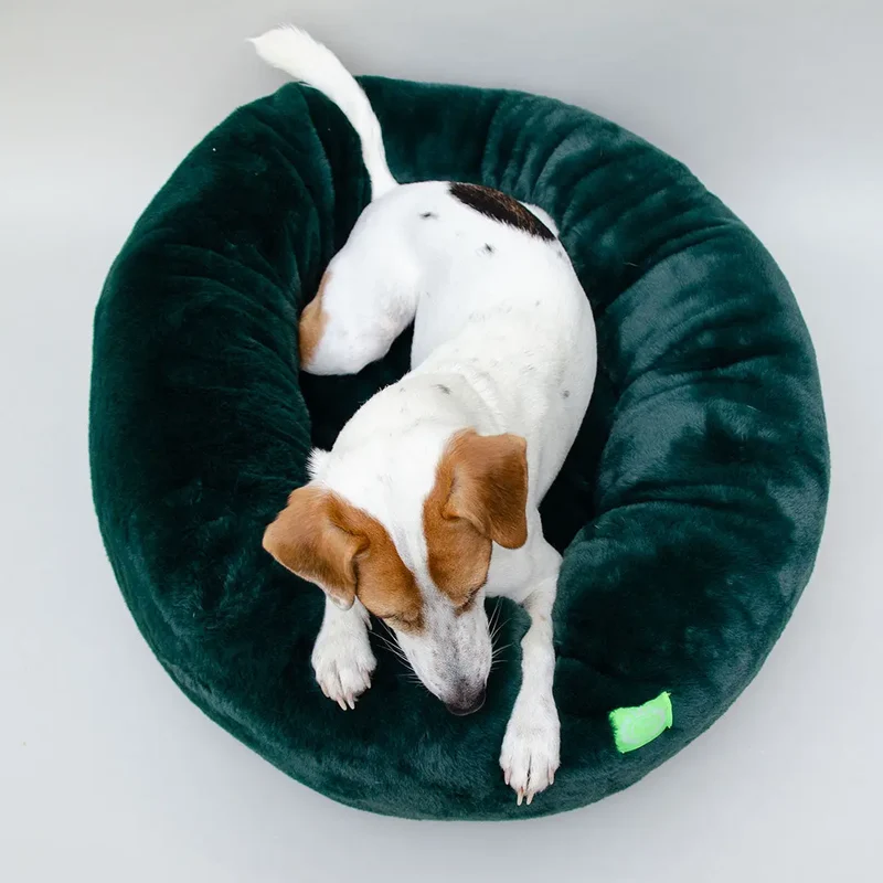 Kuschelbett für Hunde "Royal Pouf" - grün