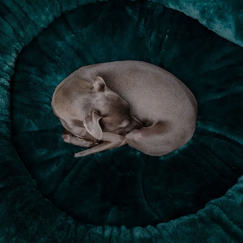 Kuschelbett für Hunde "Royal Pouf" - grün