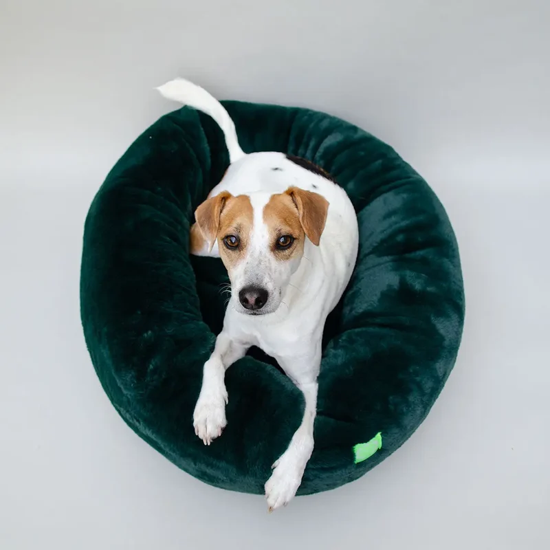 Kuschelbett für Hunde "Royal Pouf" - grün